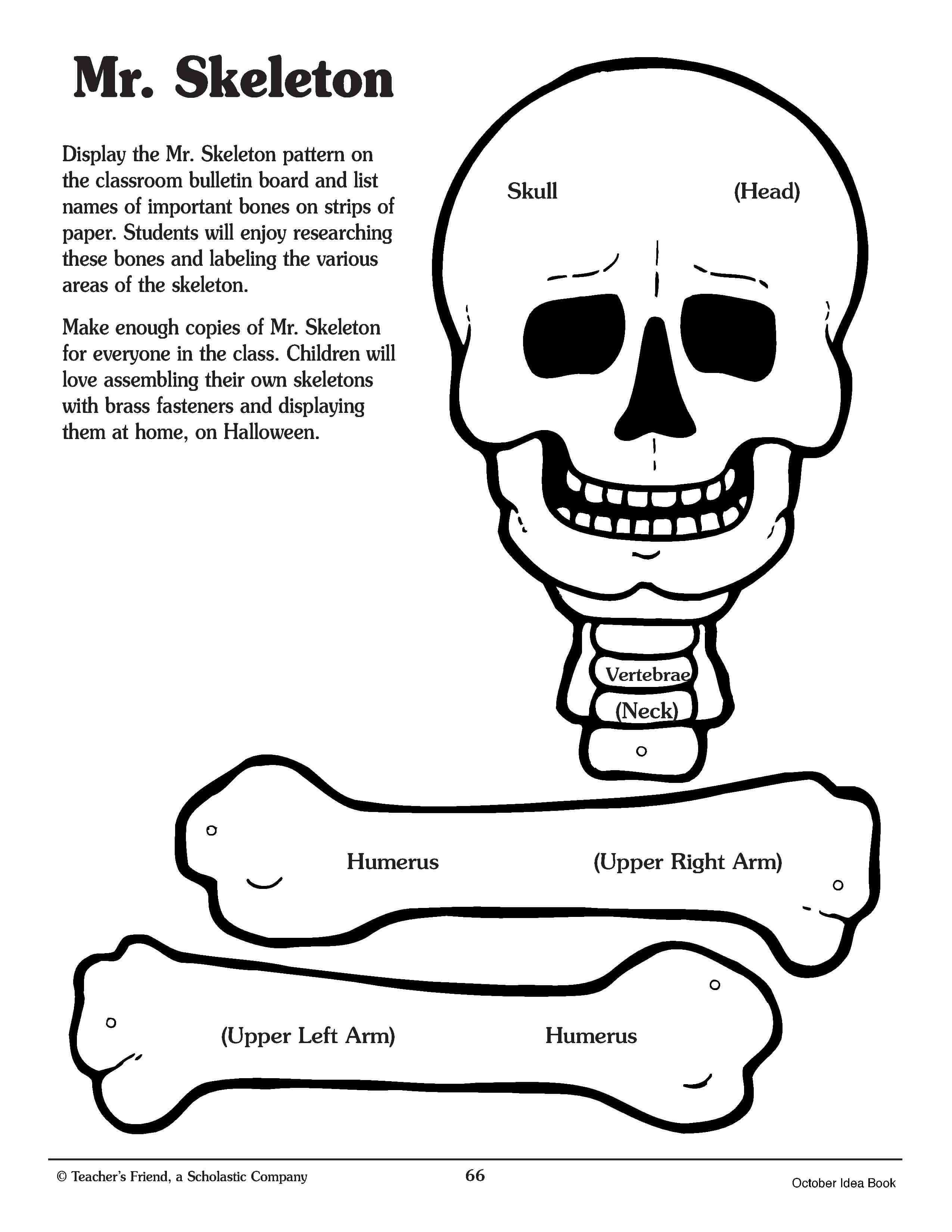 Mr. Skeleton Printable. Kids Can Cut Out And Assemble Entire With Skeleton Book Report Template