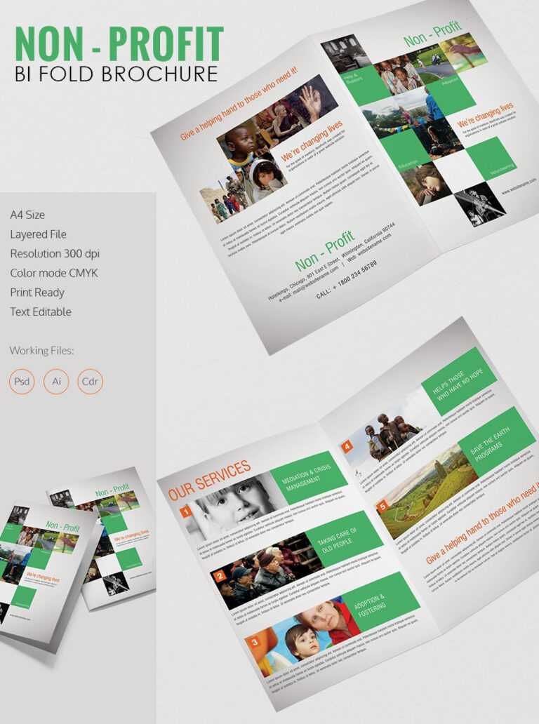 Ngo Brochure Templates