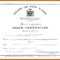 Novelty Birth Certificate Template - Atlantaauctionco inside Novelty Birth Certificate Template