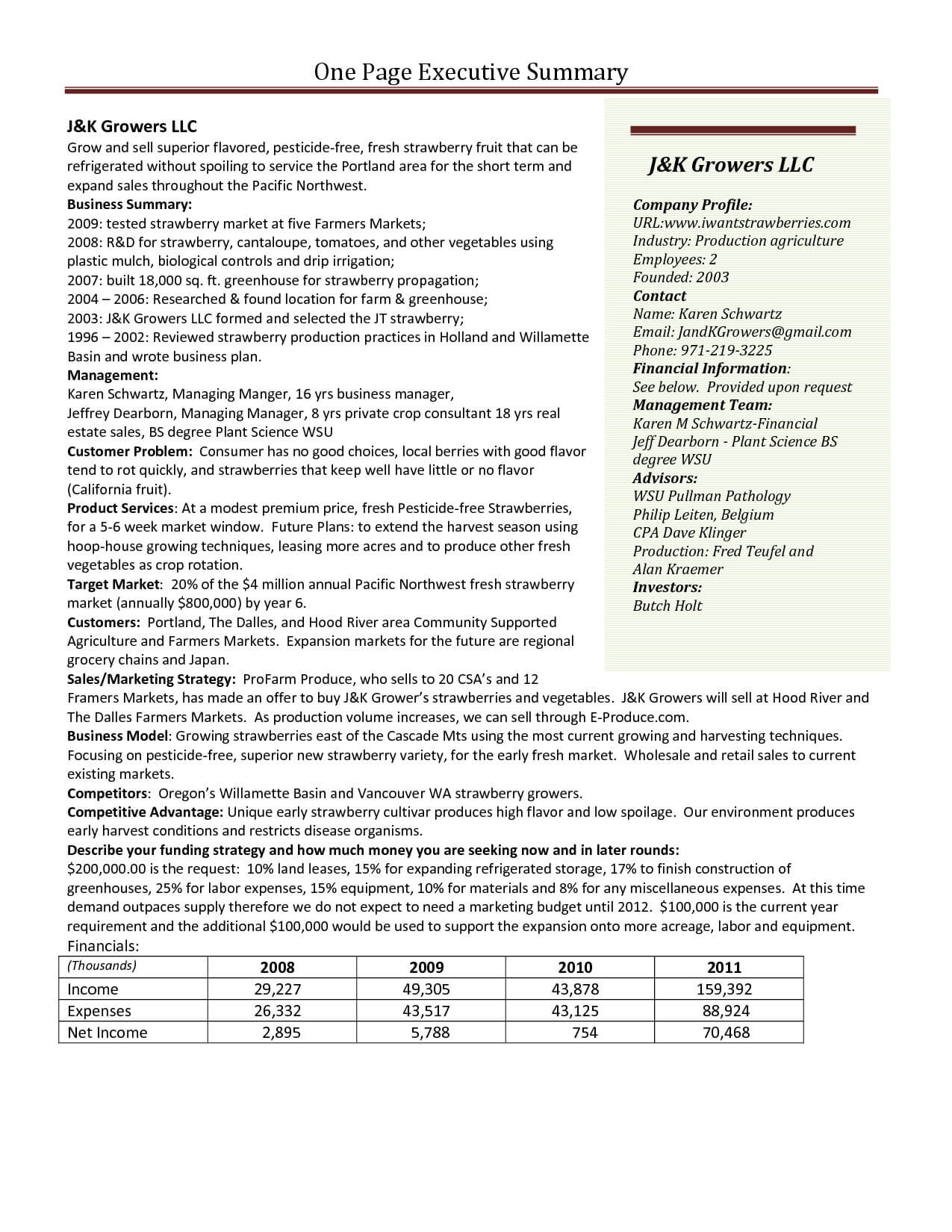 One Page Executive Summary Template | Dattstar With Regard To One Page Book Report Template