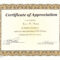 Perfect Attendance Award Certificate Template within Perfect Attendance Certificate Template