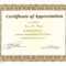 Perfect Attendance Award Certificate Template within Perfect Attendance Certificate Template