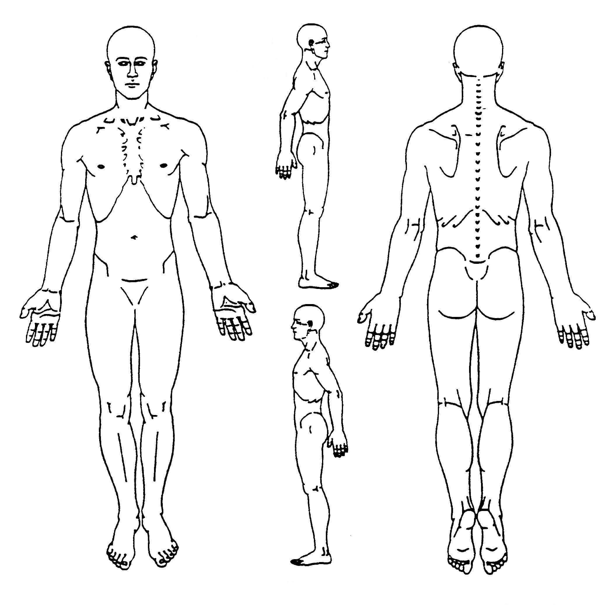 Pin On Body Diagram Regarding Blank Body Map Template