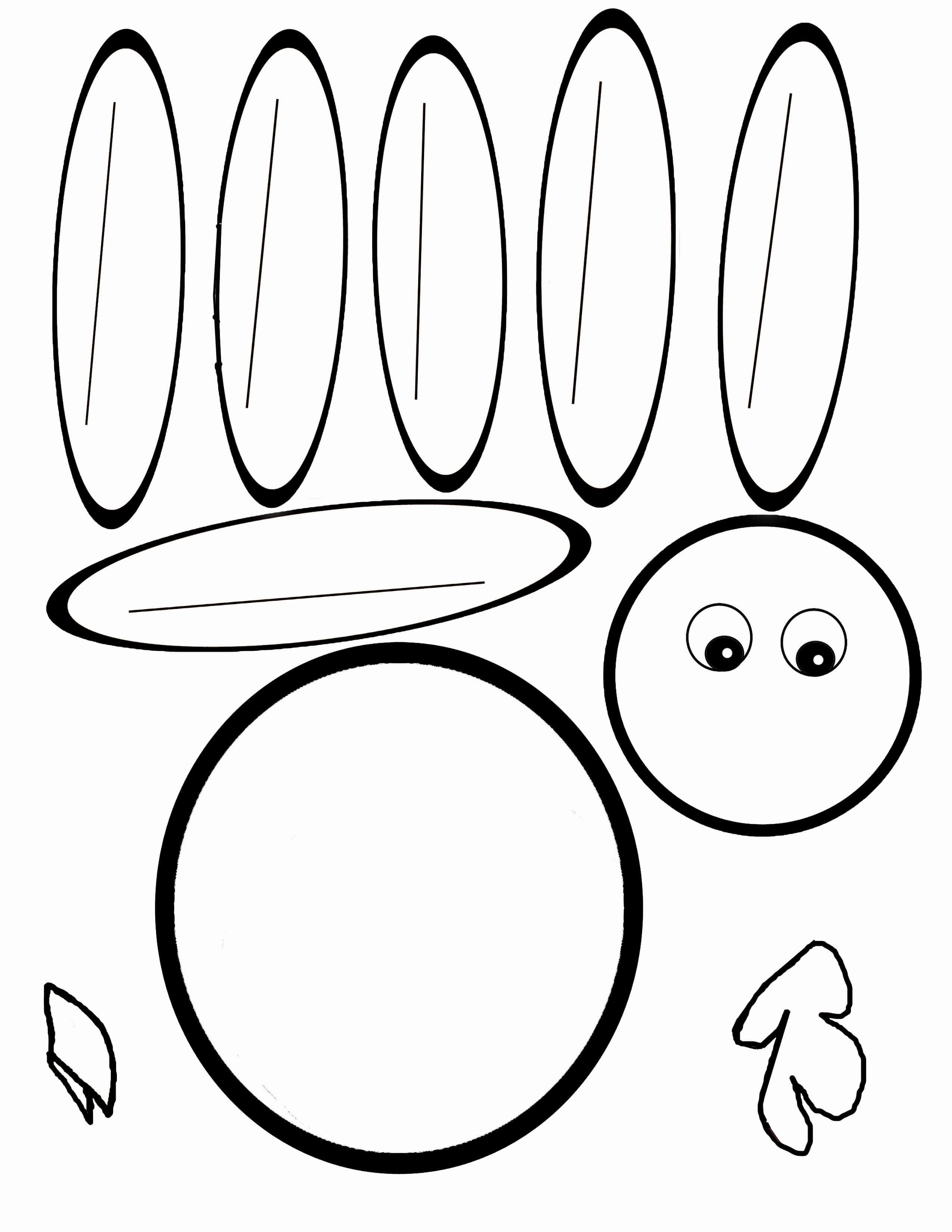 Pin On Pediatric Ot In Blank Turkey Template