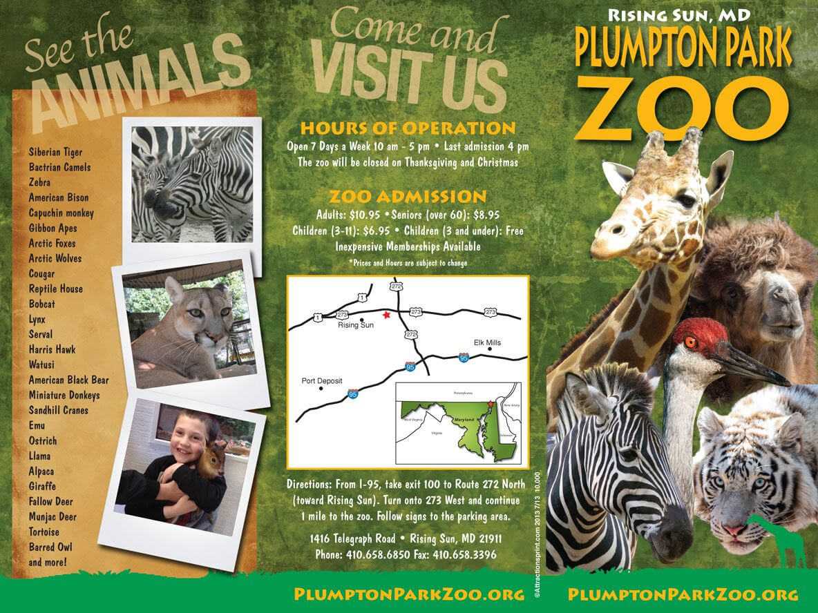 Pin On The Las Vegas Zoo Throughout Zoo Brochure Template