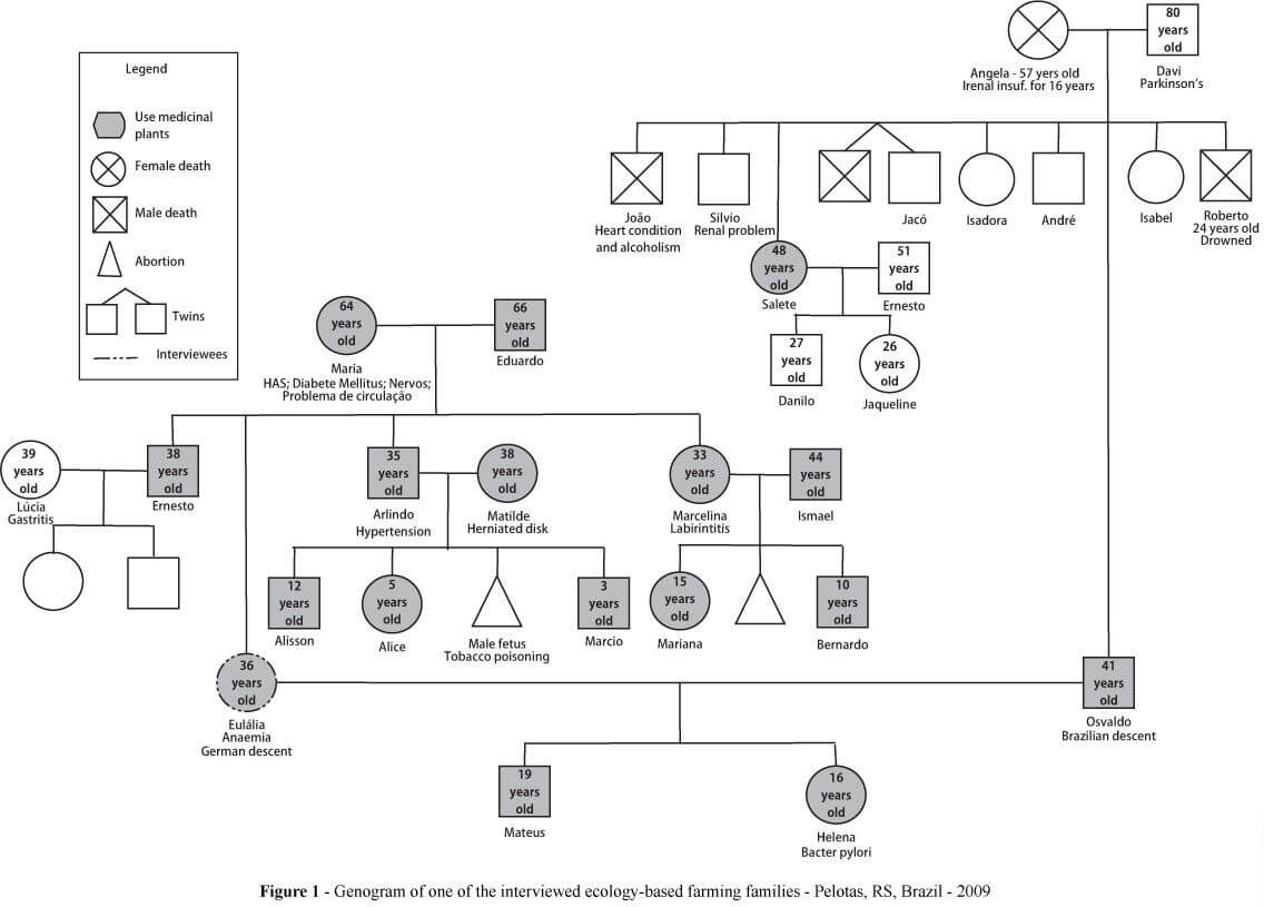 Pindee On Design | Social Work Practice, Counseling Intended For Family Genogram Template Word