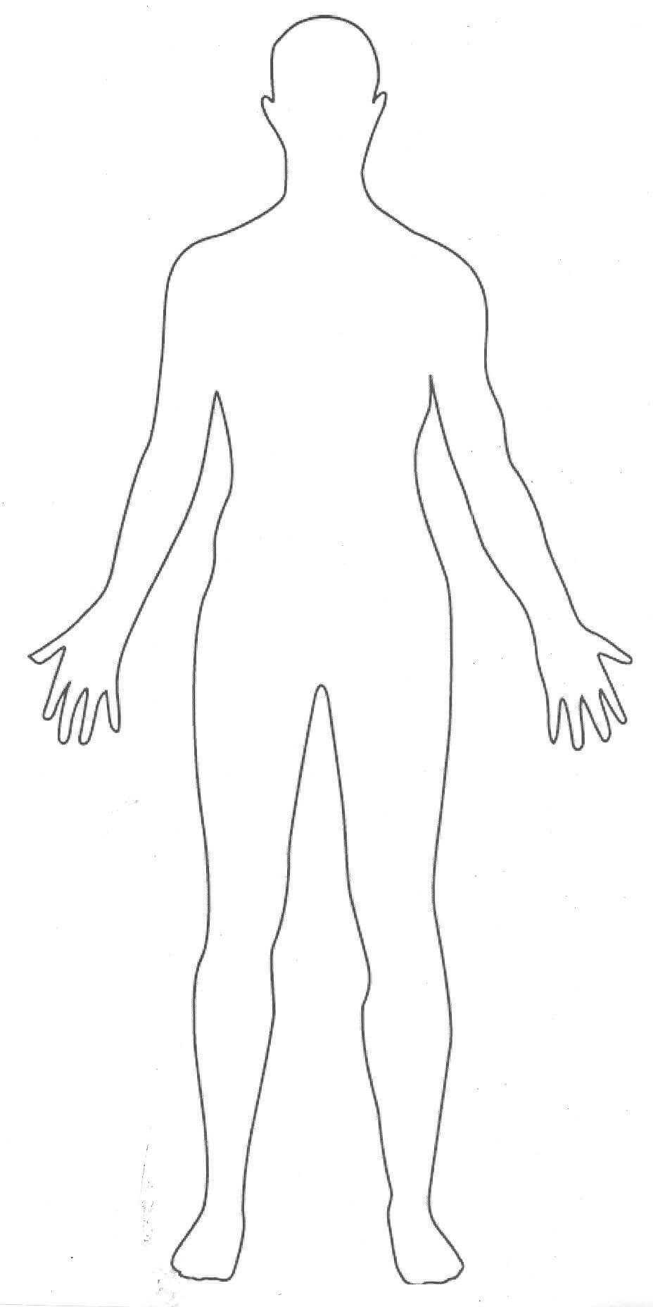 Pinrandy Sassmann On Images | Human Body Drawing, Body Throughout Blank Body Map Template