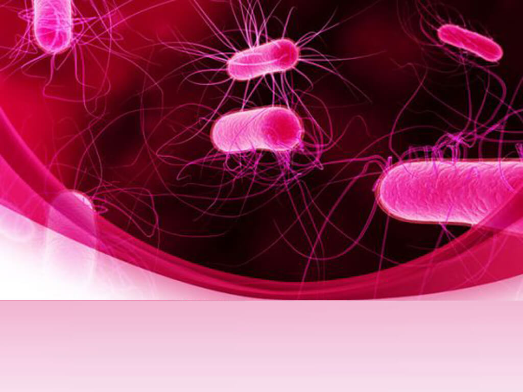 Powerpoint Bacteria Templates For Powerpoint Presentations In Virus Powerpoint Template Free Download