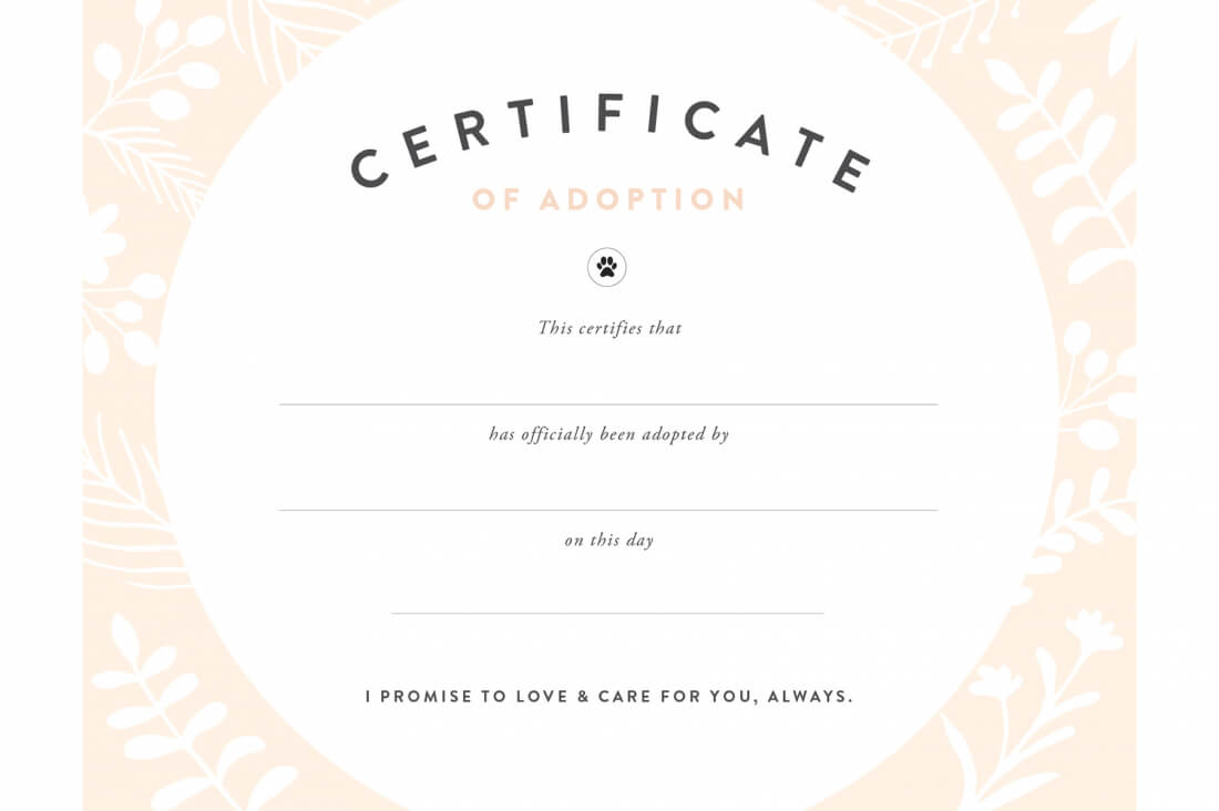 Pretty Fluffy For Blank Adoption Certificate Template