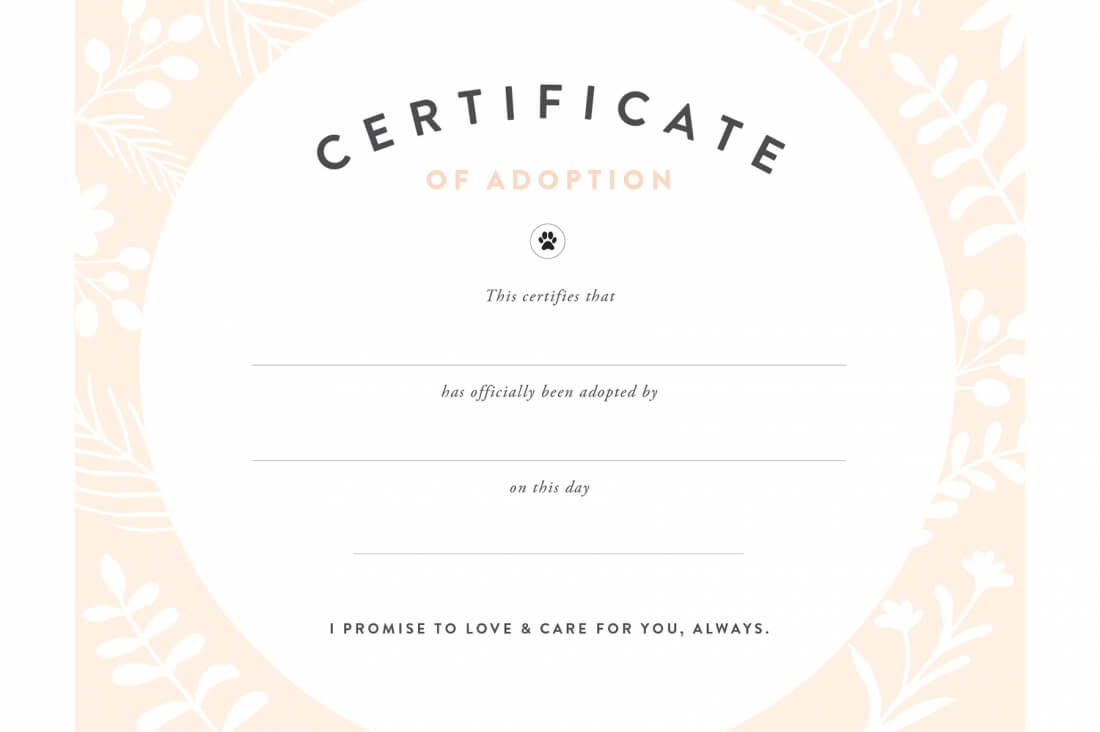 Pretty Fluffy With Child Adoption Certificate Template
