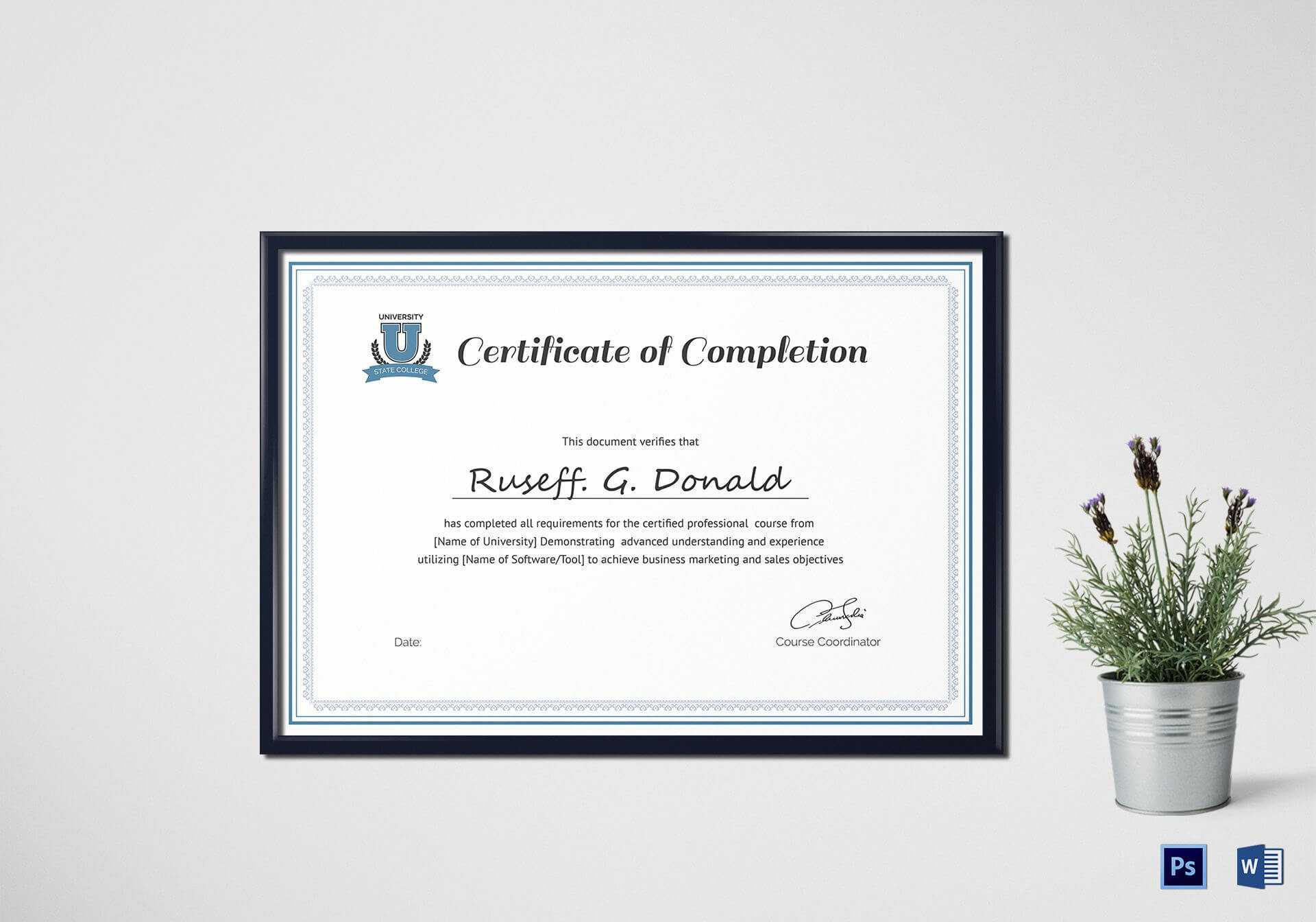 Professional Course Completion Certificate Template Within Sales Certificate Template