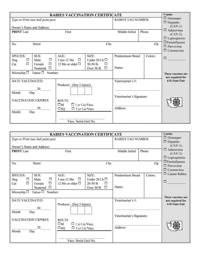 Rabies Certificate Template – Fill Online, Printable For Certificate Of Vaccination Template