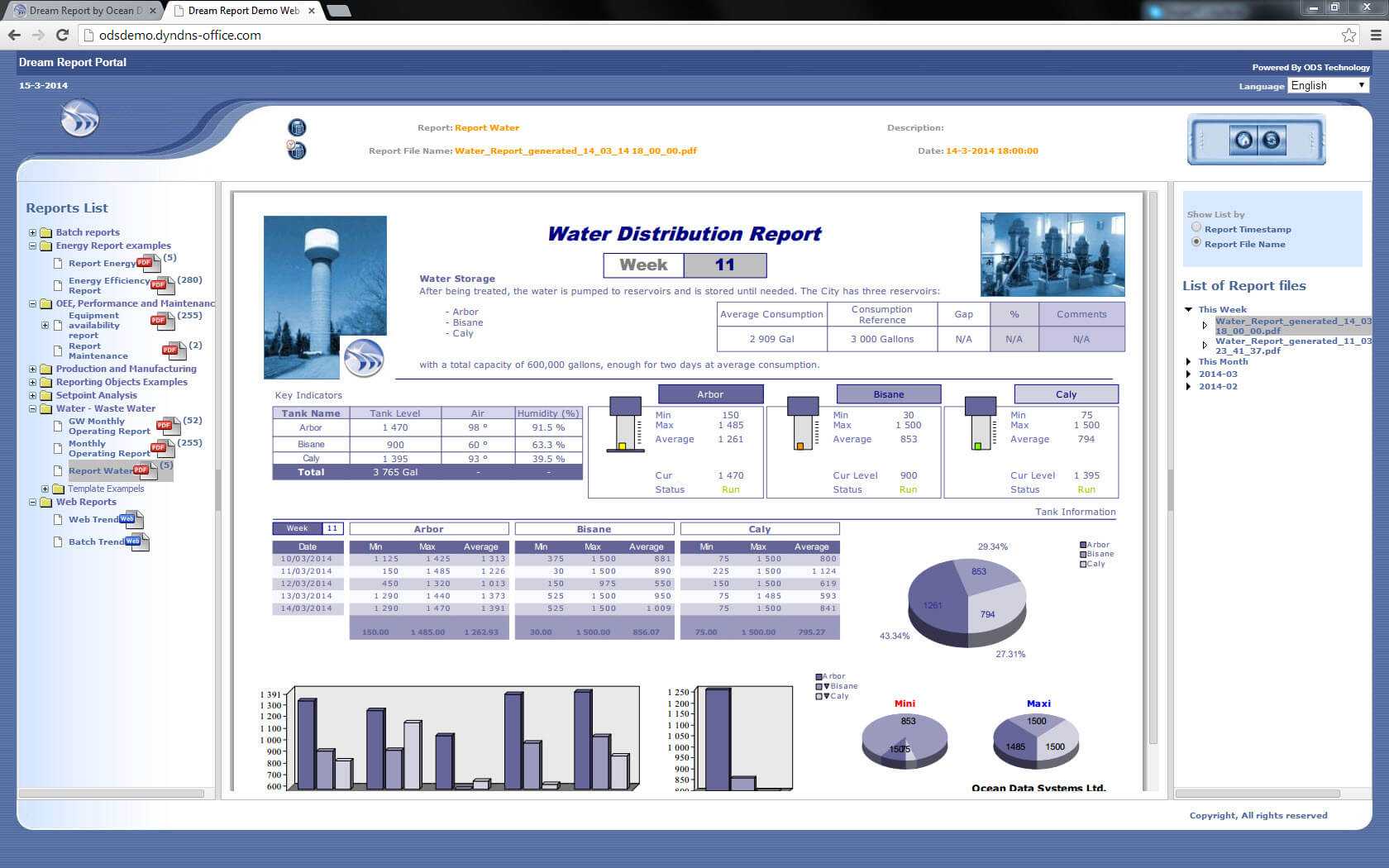 Report Templates And Sample Report Gallery – Dream Report Intended For Reporting Website Templates