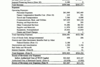 Sample Annual Financial Report Format Project Statement in Credit Analysis Report Template