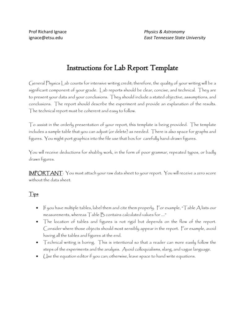 State Report Template