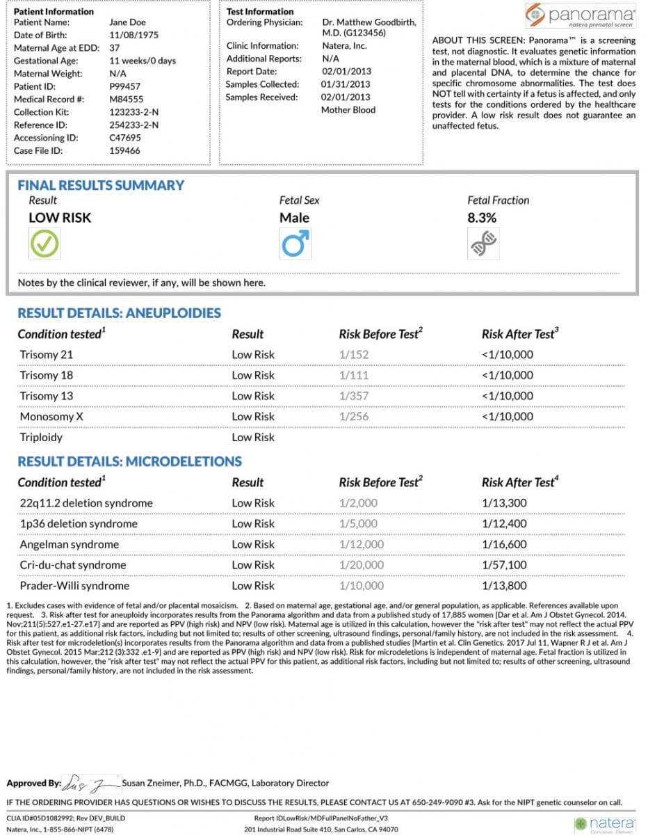 Sample Report Examples For Panorama Intended For Dr Test Report Template