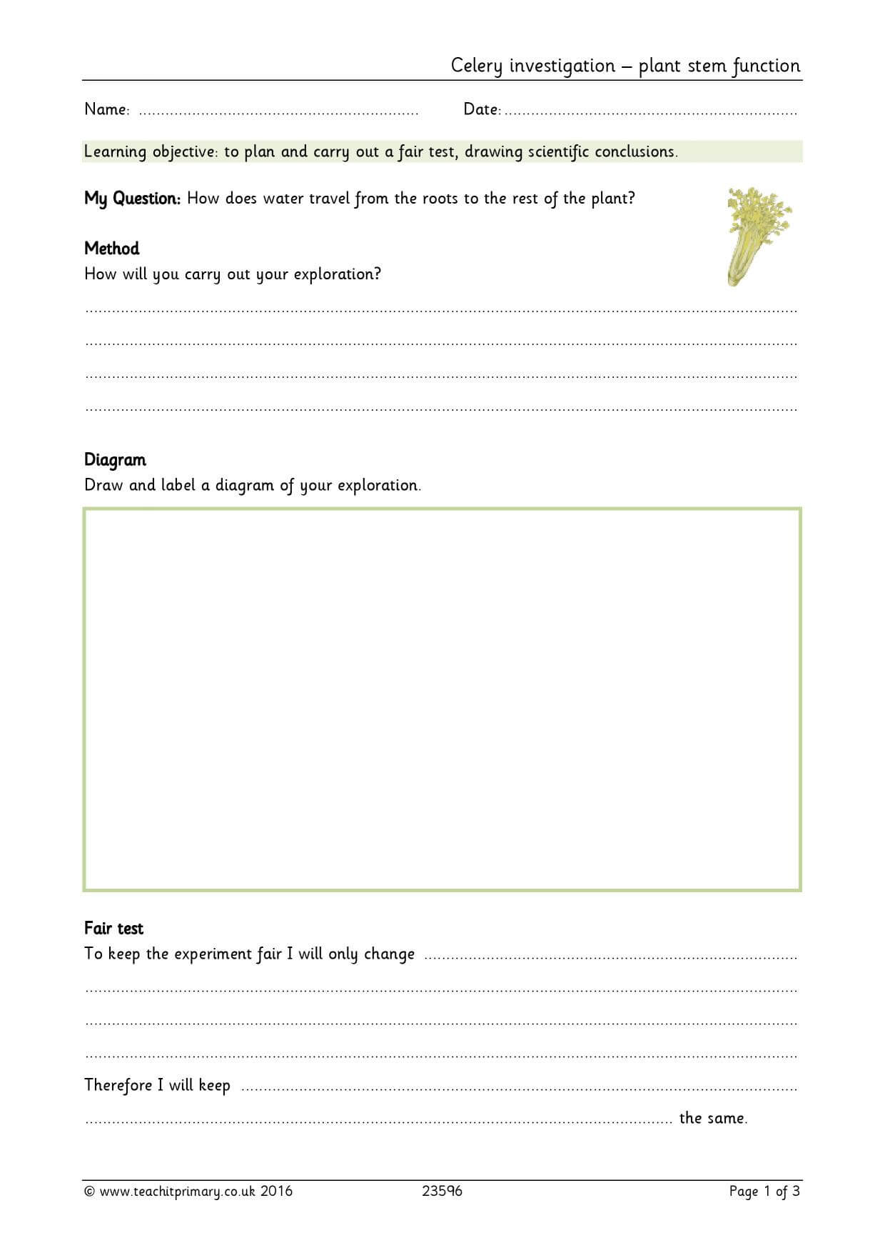 Science Report Template Ks2 ] - Best Free Home Design Idea Throughout Science Report Template Ks2