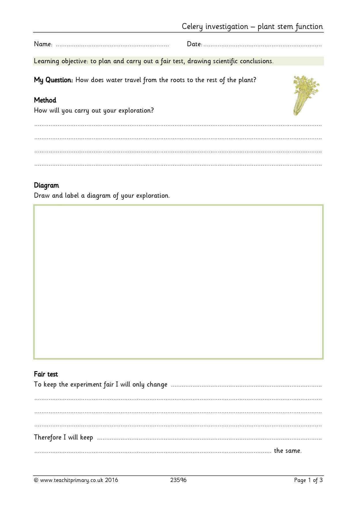 Science Report Template Ks2 ] – Best Free Home Design Idea Throughout Science Report Template Ks2