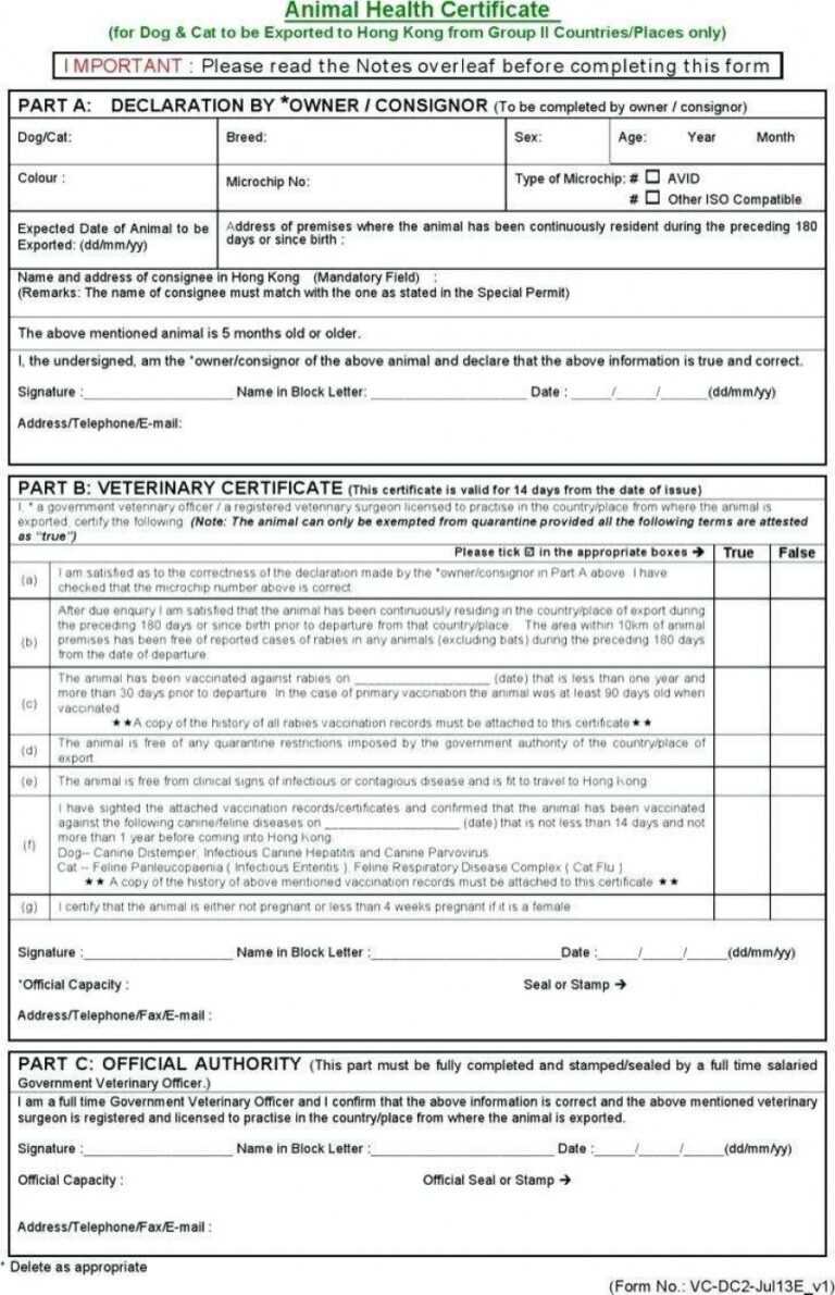 stirring pet health certificate template ideas printable in veterinary