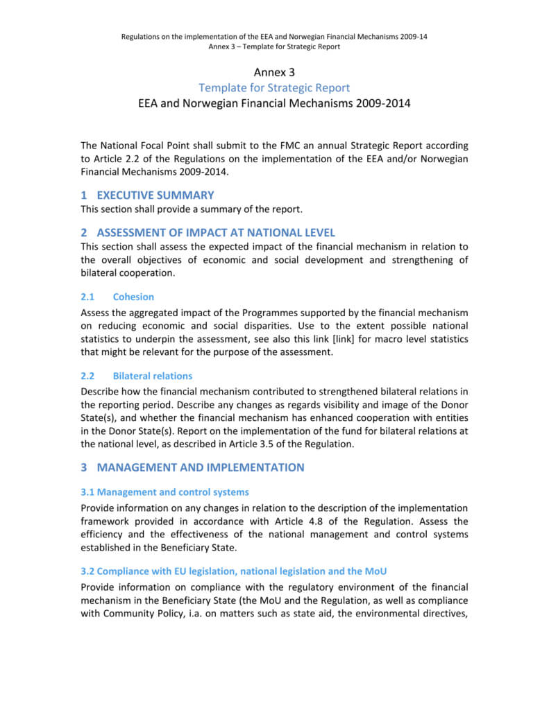 Strategic Report Template For Strategic Management Report Template