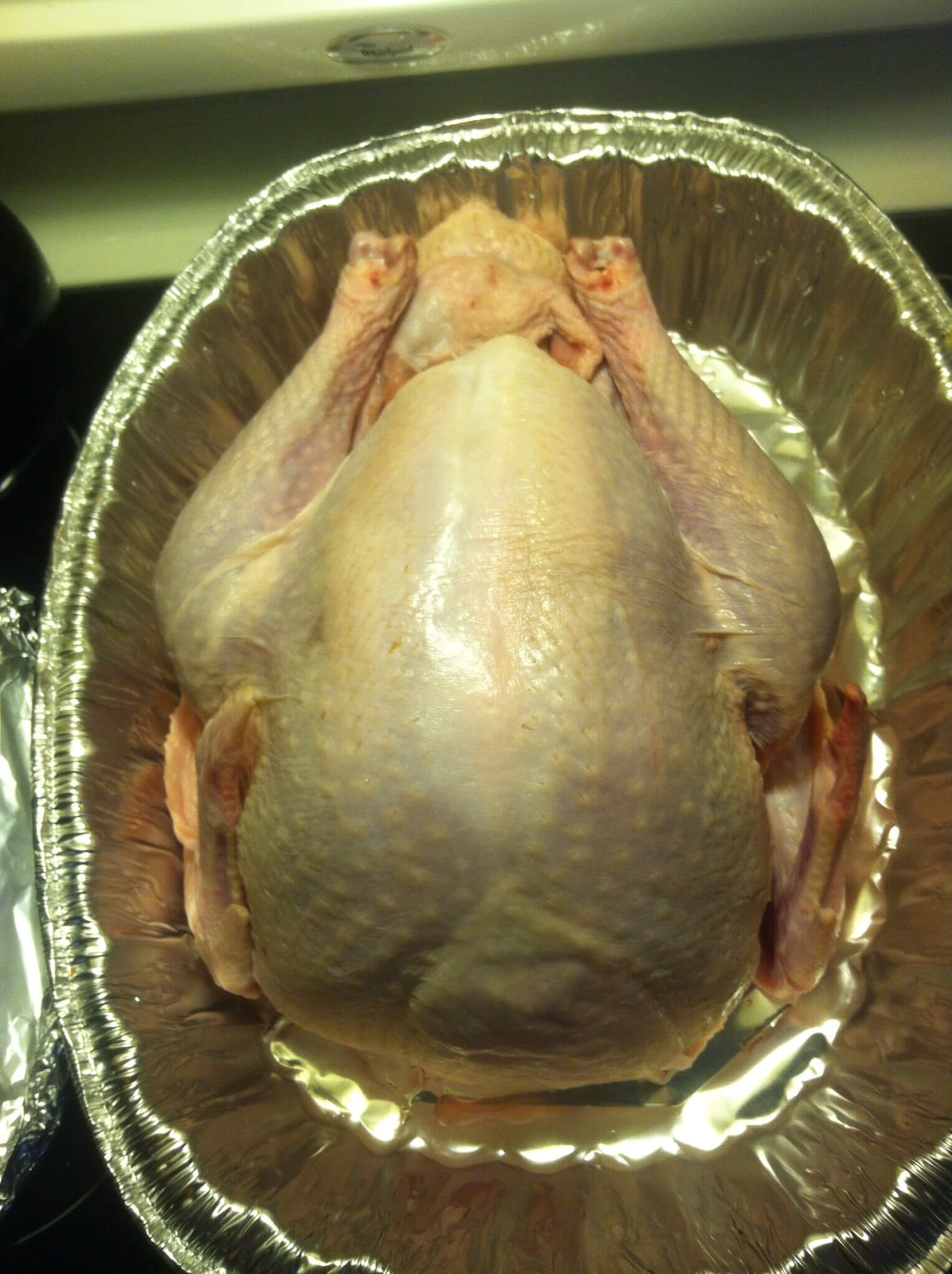 Thanksgiving Turkey Blank Template – Imgflip For Blank Turkey Template