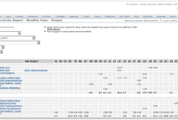 Timesheet Productivity (Calendar View) with Monthly Productivity Report Template