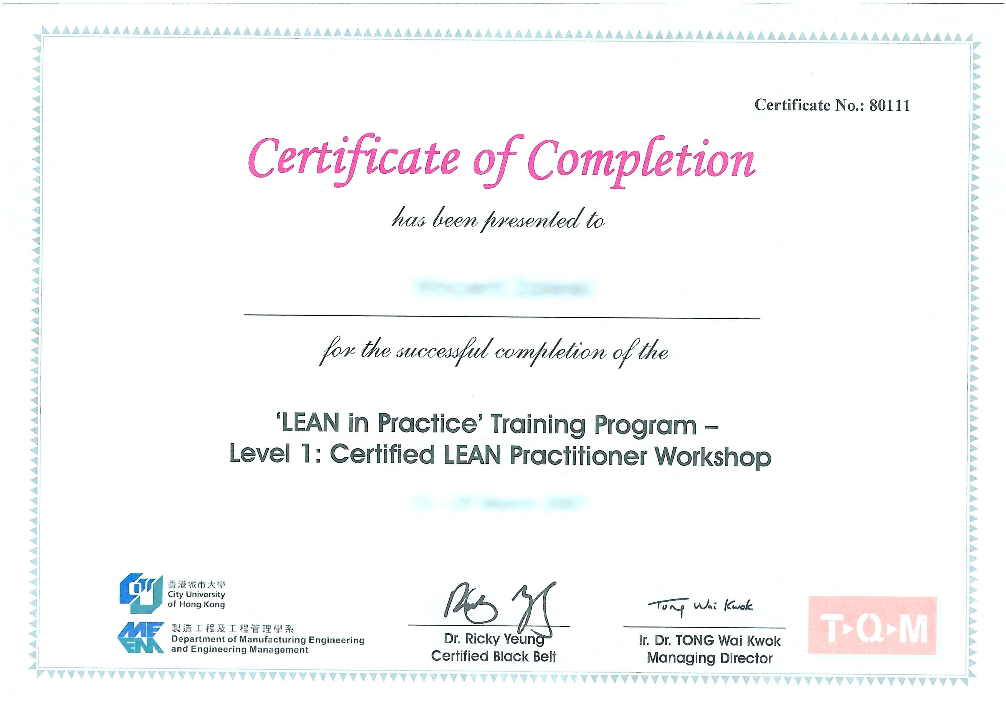 Training Certificate Template Free Download Black Belt In Workshop Certificate Template