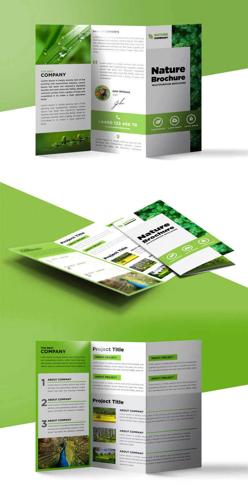 Tri Fold Brochure Template A4 Free #1502 For Free Three Fold Brochure Template