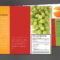 Tri Fold Brochure Template For Health And Nutrition. Order with regard to Nutrition Brochure Template