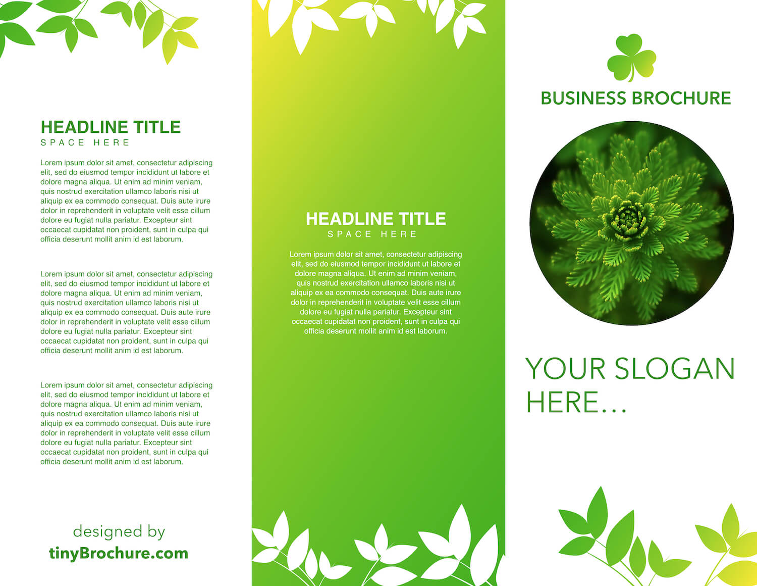 Tri Fold Brochure Template Google Docs In Google Docs Tri Fold Brochure Template