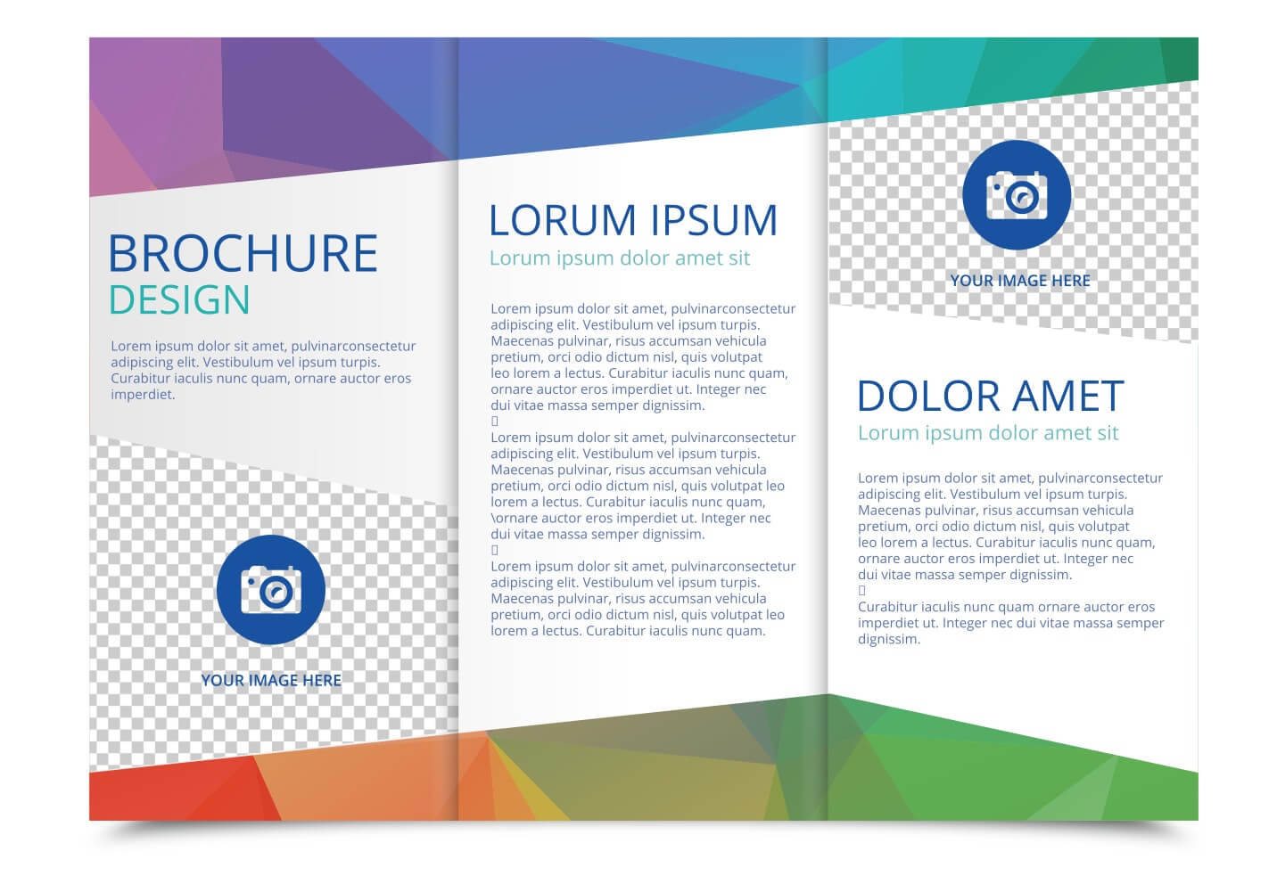 Tri Fold Brochure Vector Template – Download Free Vectors Throughout Free Three Fold Brochure Template