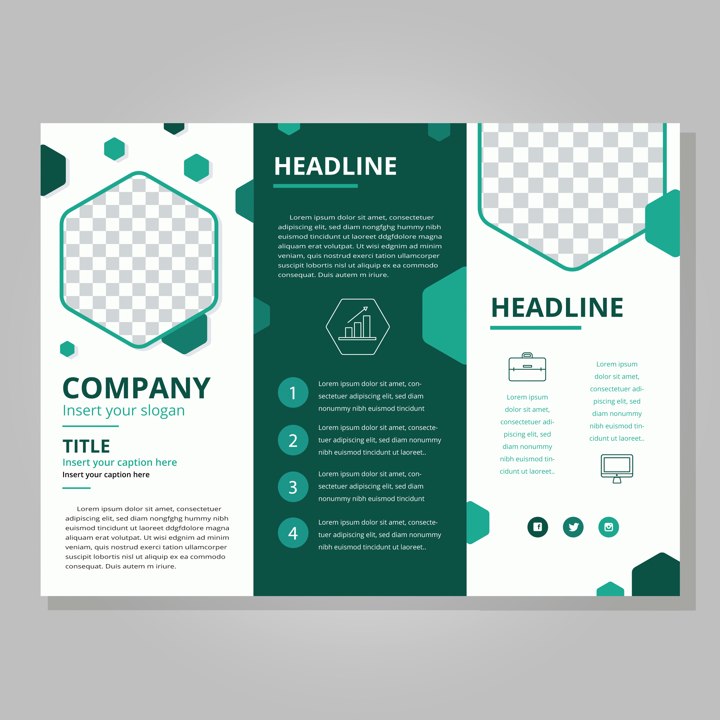 Trifold Brochure Templates – Yupar.magdalene Project Throughout Three Panel Brochure Template