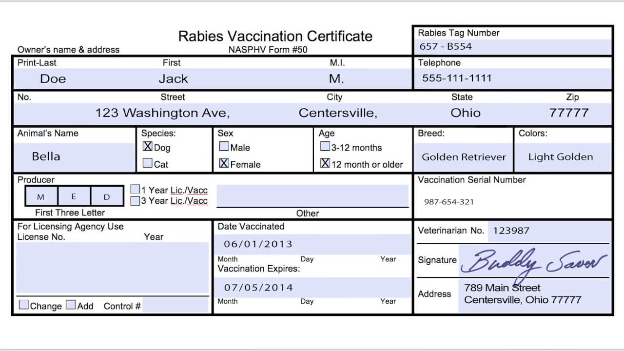 Usda Aphis | Travel Documentation – Rabies Vaccination In Rabies Vaccine Certificate Template