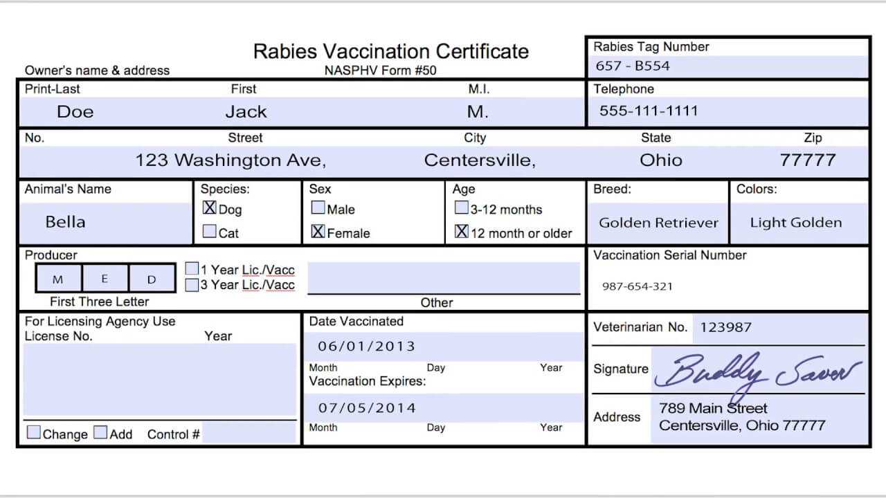 Usda Aphis | Travel Documentation – Rabies Vaccination In Rabies Vaccine Certificate Template