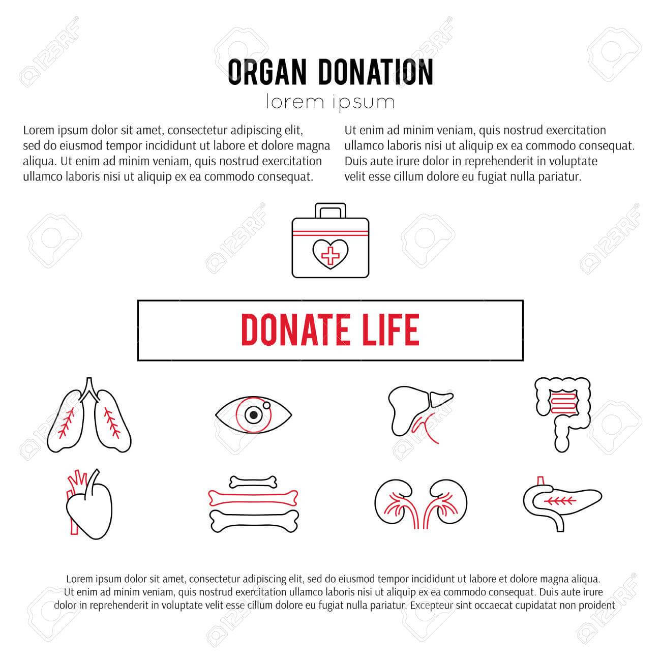 Vector Square Banner Template. Organ Donation Thin Line Icons Throughout Organ Donor Card Template